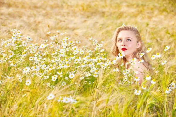 Ragazza bionda sul campo di camomilla — Foto Stock