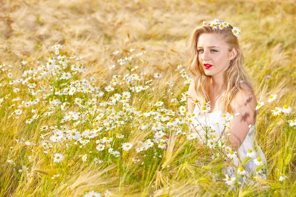 Fille blonde sur le champ de camomille — Photo