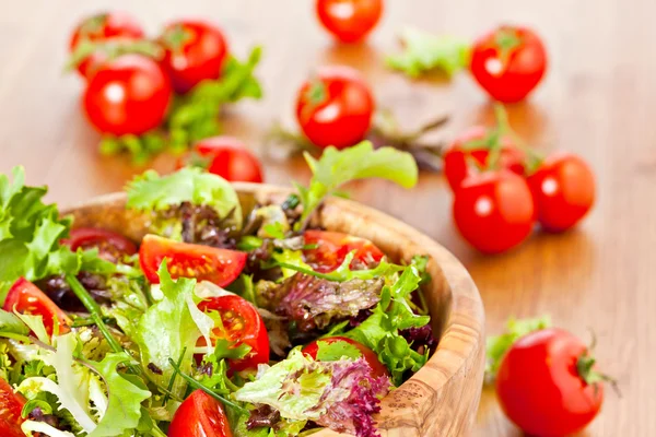 Salada de alface mista e tomate — Fotografia de Stock