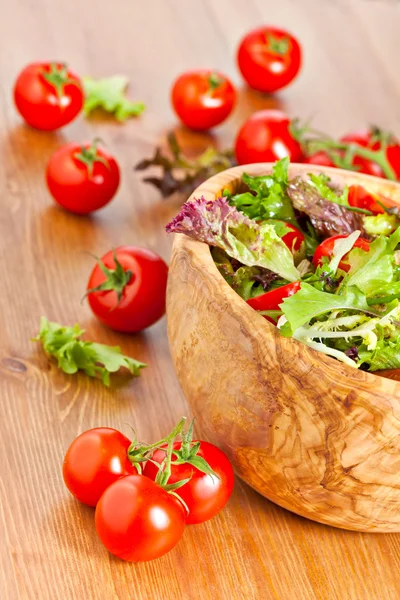 Mixed lettuce salad and tomatoes — Stock Photo, Image