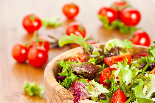 Mixed lettuce salad and tomatoes — Stock Photo, Image