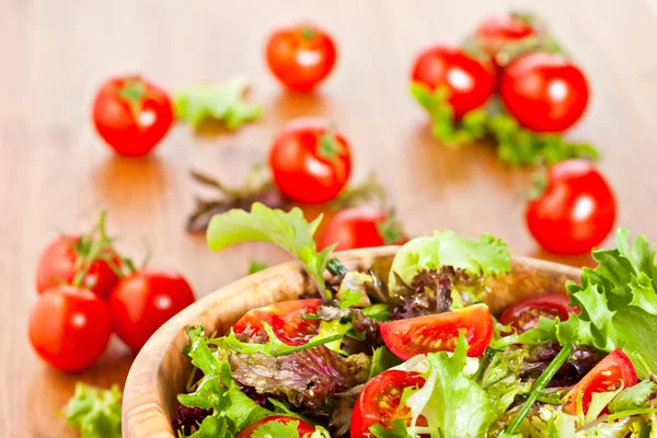 Mixed lettuce salad and tomatoes — Stock Photo, Image