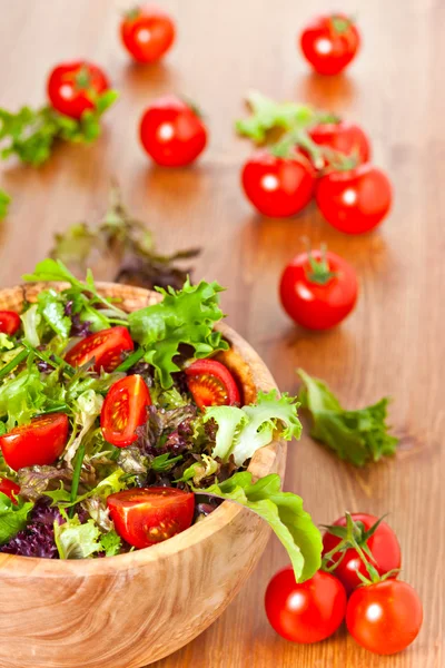 Mixed lettuce salad and tomatoes — Stock Photo, Image