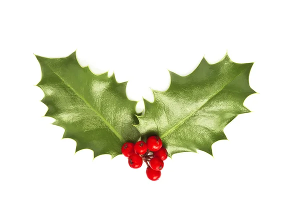 Holly leaves and berries isolated on white background — Stock Photo, Image