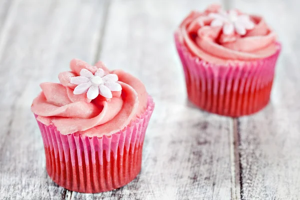 Cupcakes — Stock Photo, Image