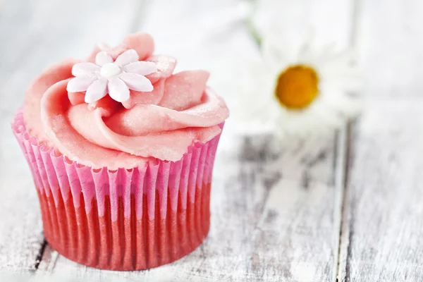 Cupcake with chamomile — Stock Photo, Image