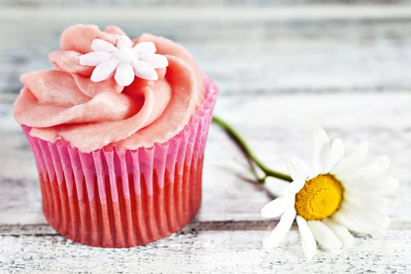Cupcake with chamomile — Stock Photo, Image