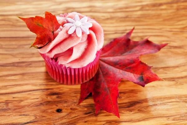 Cupcake and red maple leaf — Stock Photo, Image