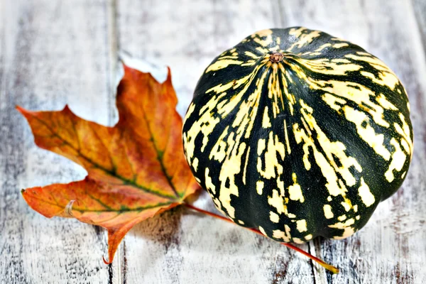 Pumpkin and orange maple leaf — Stock Photo, Image