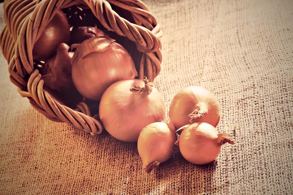Onions scattered from wicker basket — Stock Photo, Image