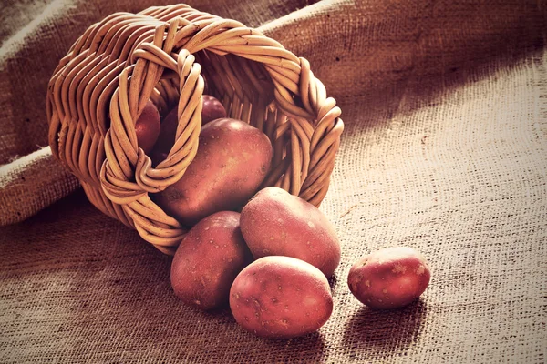 Red potatoes scattered from wicker basket — Stock Photo, Image