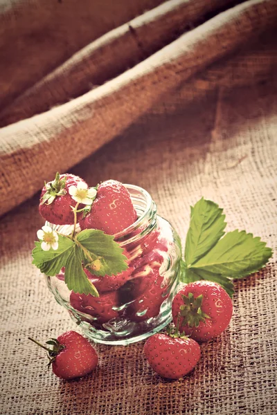 Fresas rojas en frasco de vidrio sobre tela de saco — Foto de Stock