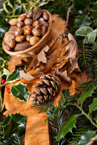 Christmas nuts — Stock Photo, Image