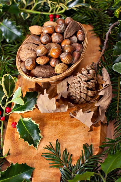 Christmas nuts — Stock Photo, Image