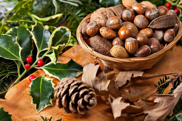 Christmas nuts — Stock Photo, Image