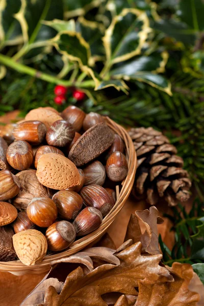 Nueces de Navidad — Foto de Stock