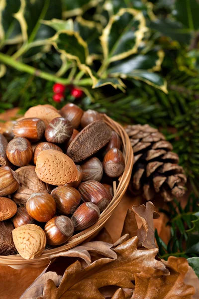 Christmas nuts Royalty Free Stock Images