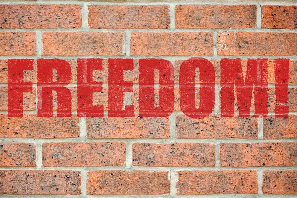 Vieille texture murale en brique avec inscription FREEDOM — Photo