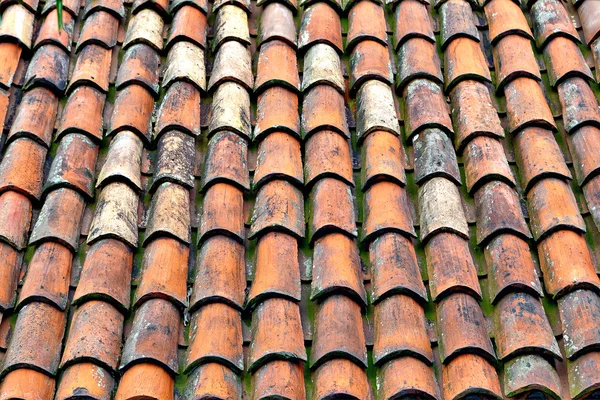 Clay Roof tiles — Stok fotoğraf