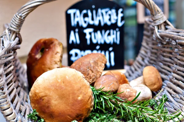 Porcini mushrooms — Stock Photo, Image