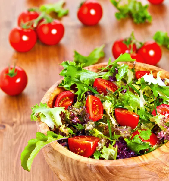 Mixed lettuce salad and tomatoes — Stock Photo, Image