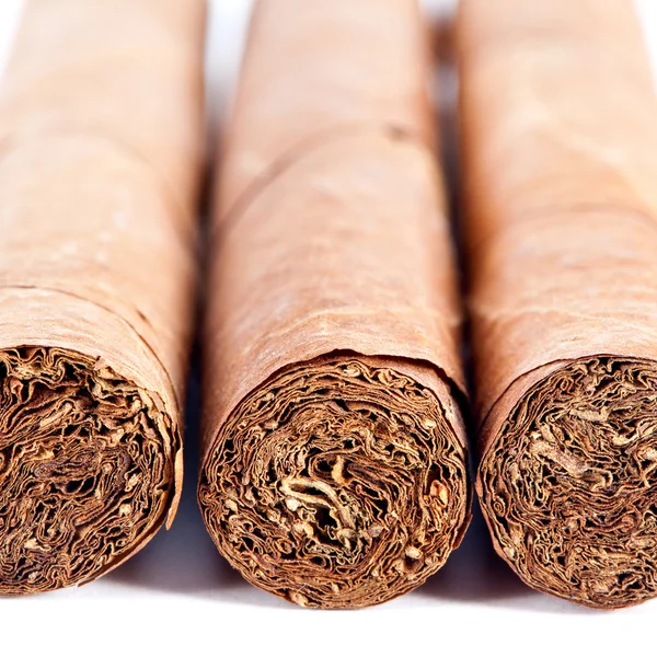 Primo piano della consistenza del sigaro — Foto Stock