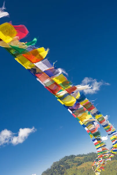 Tibet bayrakları - lungta — Stok fotoğraf