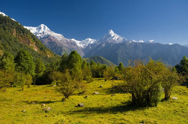 Annapurna Sıradağları — Stok fotoğraf