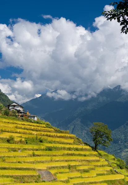 Annapurna mountain range — Stock Photo, Image
