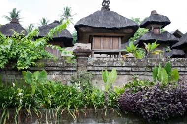 bitkiler, ağaçlar ve çiçekler Botanik Bahçe, bali