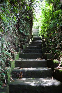 bali Goa gajah veya fil Mağarası