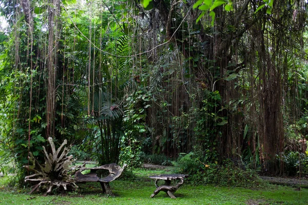 Botanischer Garten, bali — Stockfoto