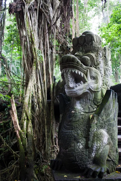 Monkey Forest Park, Ubud, Bali — Stockfoto