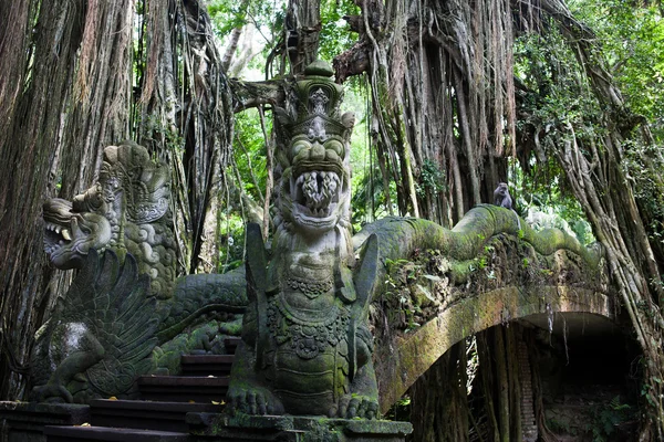 Monkey Forest Park, Ubud, Bali — Stock Photo, Image