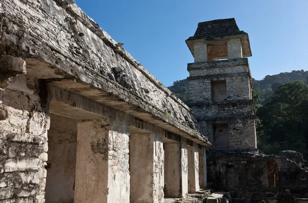 Palenque - διάσημο μέρος των Μάγιας στο Μεξικό — Φωτογραφία Αρχείου