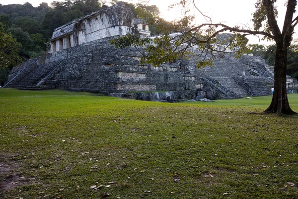 Palenque - famoso luogo Maya in Messico — Foto Stock