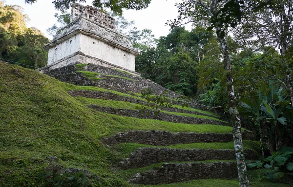 Palenque - słynne miejsce Majów w Meksyku — Zdjęcie stockowe