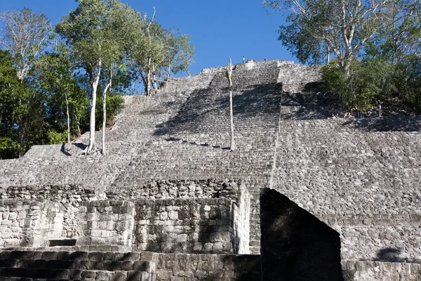 Calakmul - una delle più grandi città maya in Messico — Foto Stock