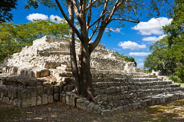 Edzna - starożytnej piramidy w pobliżu przez campeche, Meksyk — Zdjęcie stockowe