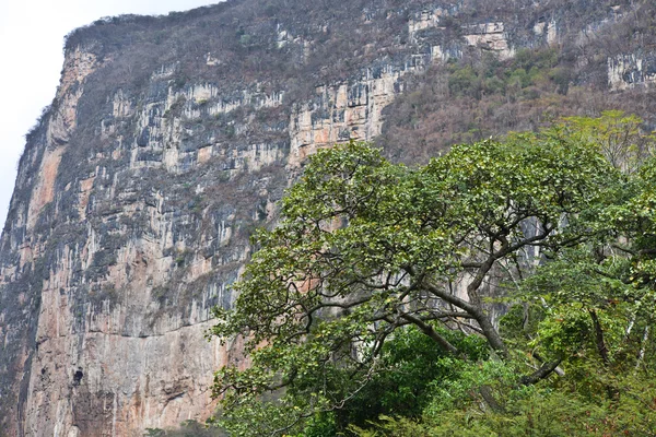 Cañón Sumidero vista —  Fotos de Stock