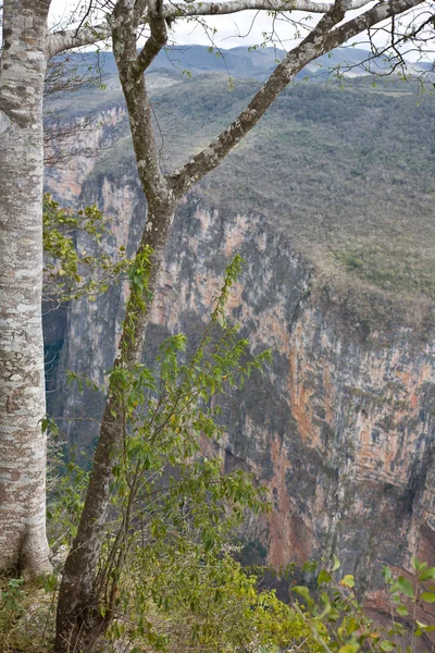 Cañón Sumidero vista —  Fotos de Stock