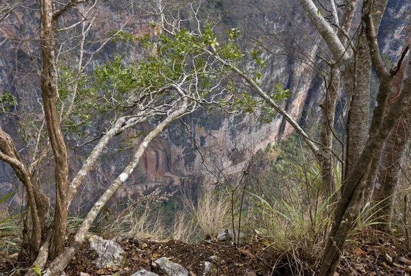 Canyon Sumidero Ansicht — Stockfoto