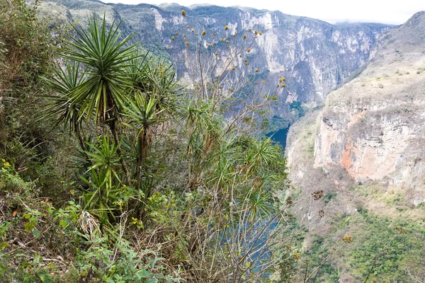 Kaňon sumidero zobrazení — Stock fotografie