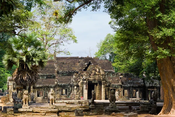 Angkor wat, Kambodscha — Stockfoto