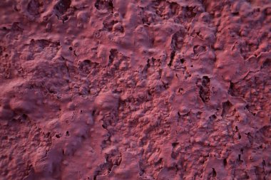 Çölde üç uzun palmiye ağaçları