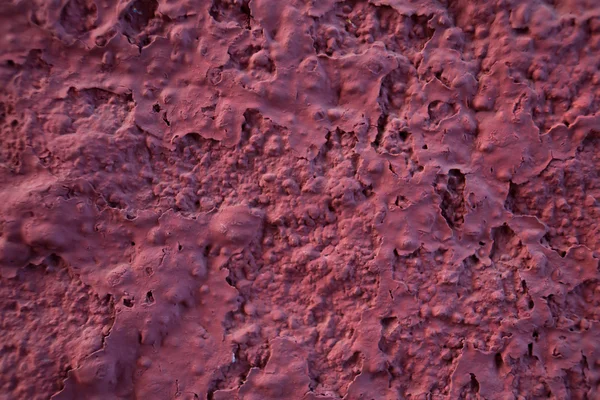 Çölde üç uzun palmiye ağaçları