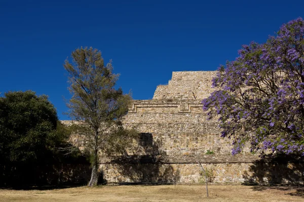 Monte Alban - las ruinas de la civilización zapoteca en Oaxaca, México —  Fotos de Stock