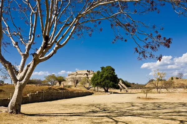 Monte Alban - las ruinas de la civilización zapoteca en Oaxaca, México —  Fotos de Stock