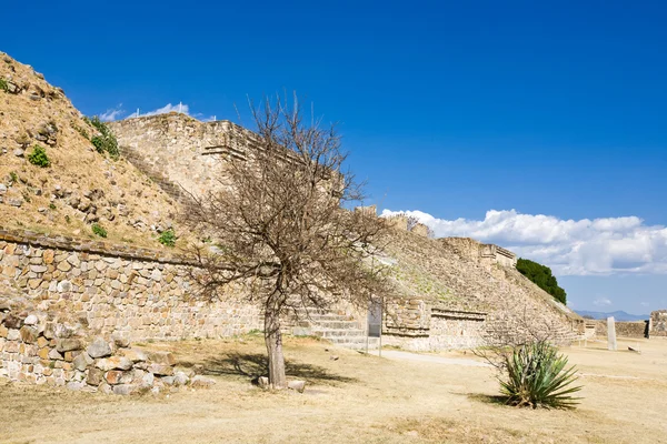 モンテ アルバン - オアハカ州、メキシコでサポテカ文明の遺跡 — ストック写真