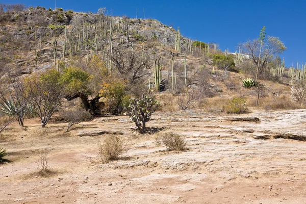 Ιαματικές πηγές κοντά από mitla, oaxaca, Μεξικό — Φωτογραφία Αρχείου